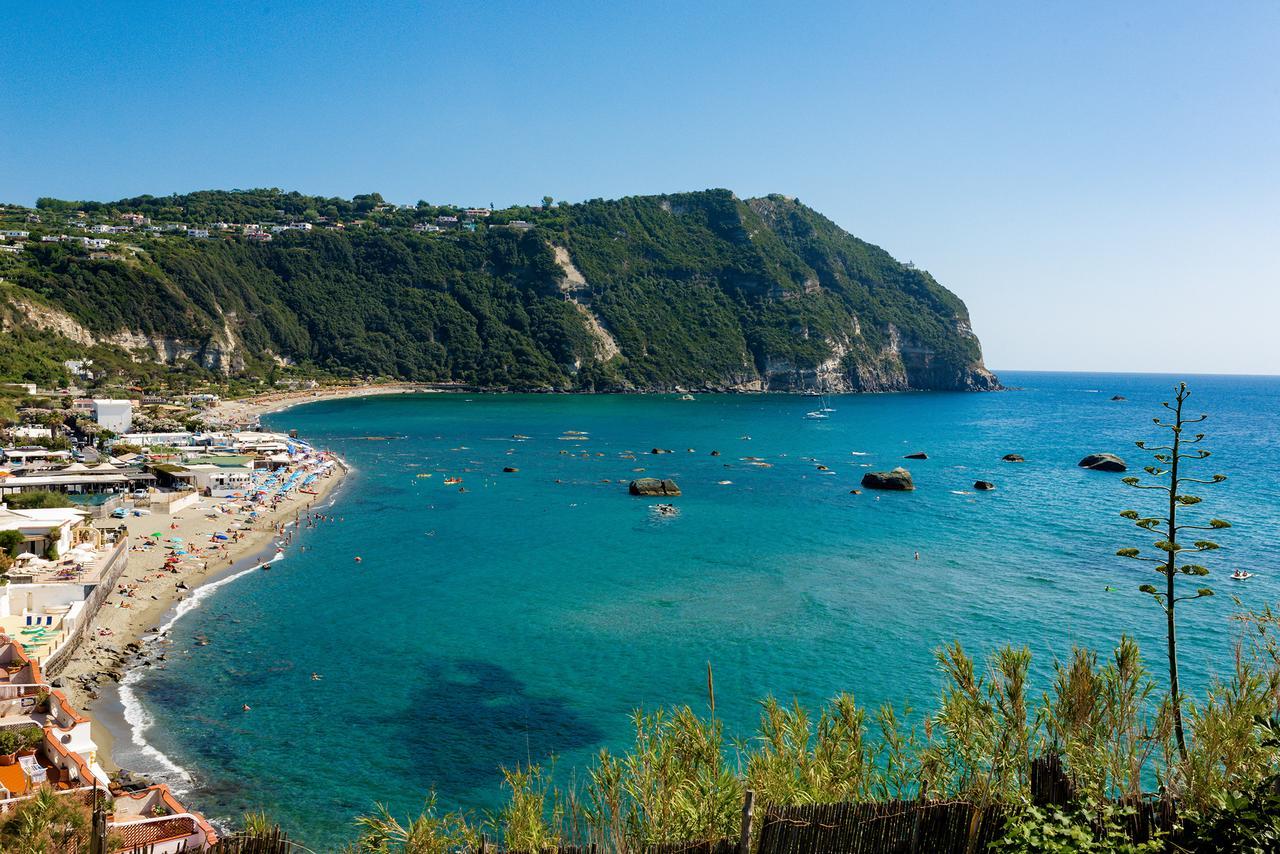 Villa Al Mare - Famiglia Calise Forio di Ischia 外观 照片